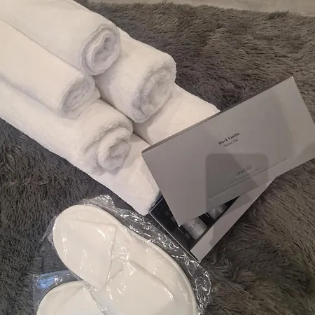 Luxury Flat