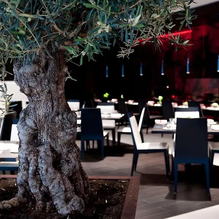 Park Plaza Westminster Bridge Hotel 4*