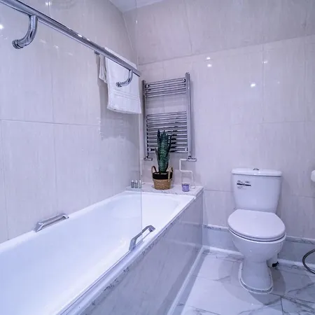 Luxurious 1-bedroom Penthouse On Oxford Street 11g Apartment