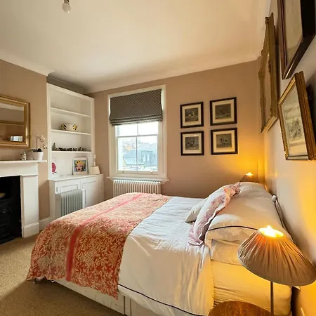 Apartment Homely Flat Wterrace 3 Mins To Battersea Park London