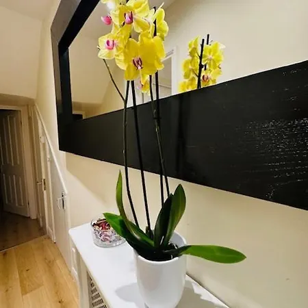 Charming & Modern Apartment, Heart Of Notting Hill, Prime Location, Close To Kensington Palace & Oxford Street * London
