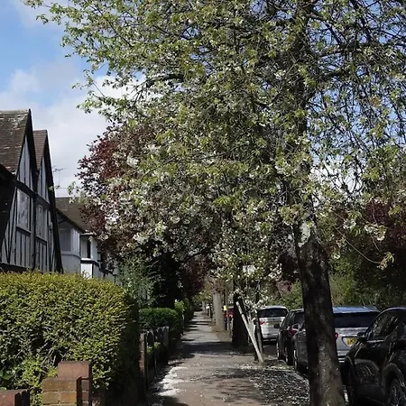 5 Bed Luxury London
