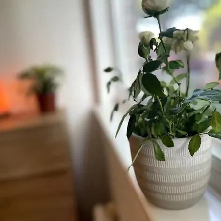 Spacious 2 Bedroom In Hoxton Appartement