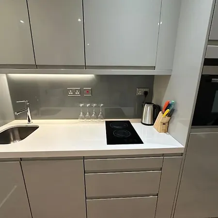 Hanger Lane Luxury Apartment *