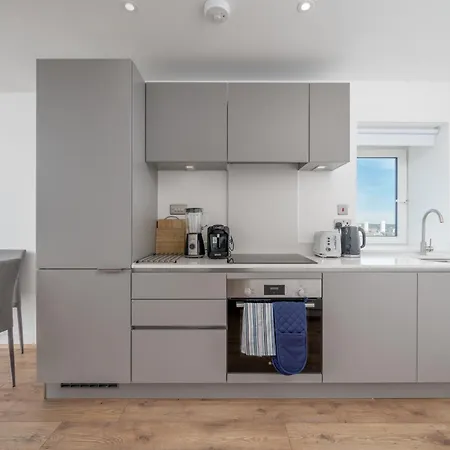 Skyvillion - River Thames Floor By Woolwich Ferry, Mins To Excel, O2 Arena , Airport With Parking
