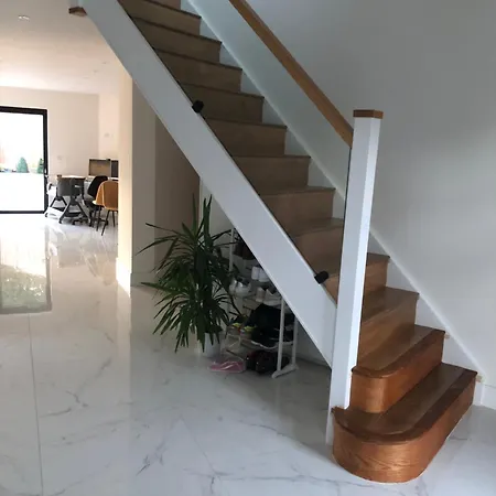 Homestay 田园居