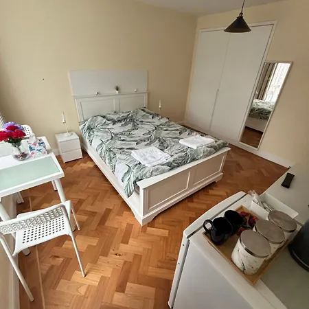 Wembley Stadium Large Double Homestay London