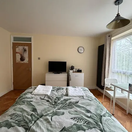 Wembley Stadium Large Double Homestay *