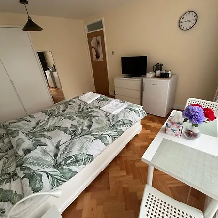 Wembley Stadium Large Double Homestay *