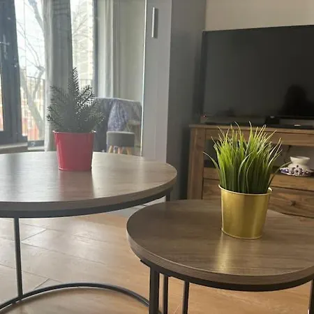 Cosy Near Greenwich Park Apartment London