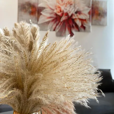 Modern Close To Hyde Park Apartment