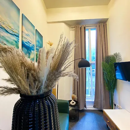 Modern Close To Hyde Park Apartment