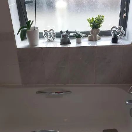 Comfy With Shared Bathroom Homestay *