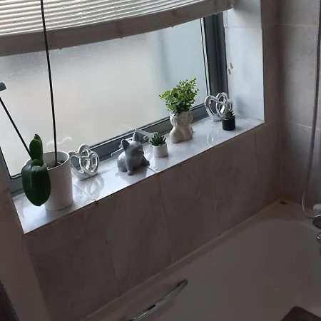 Comfy With Shared Bathroom Homestay