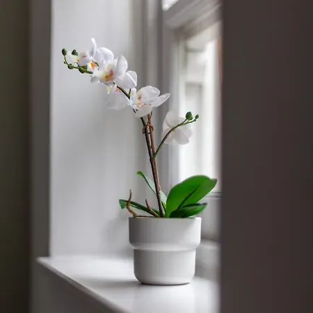 The Hackney Luxury Flat London
