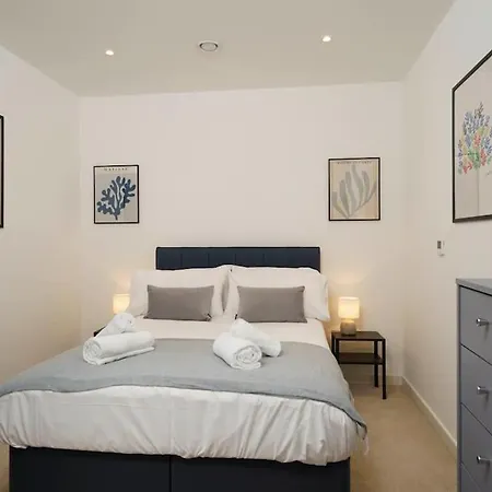 Luxury 2 Bed 2 Bath Cntrl Apartment