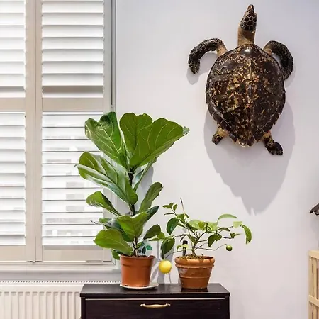 Luxurious & Modern 2 Bedroom Notting Hill Townhouse Apartment