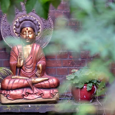 Lotus Guest house