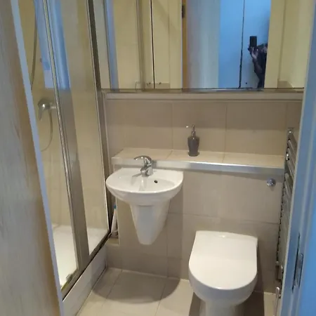 In Luxurious Penthouse *