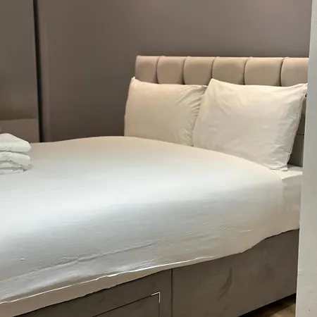 فندق ذا بارك فيكتوريا 2*