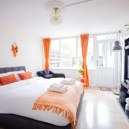 Cozy In Apartment London