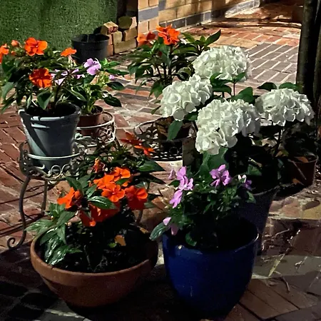 Homestay Luxury With Private Bathrooms