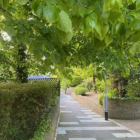 Cosy 1-bed Flat Family Friendly Free Parking Apartment