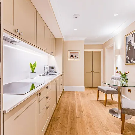 Immense Studio, Prime Location Belgravia, Chelsea Apartment