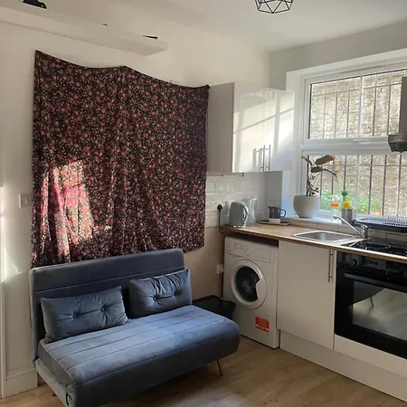 Apartment Little Victorian Conversion *