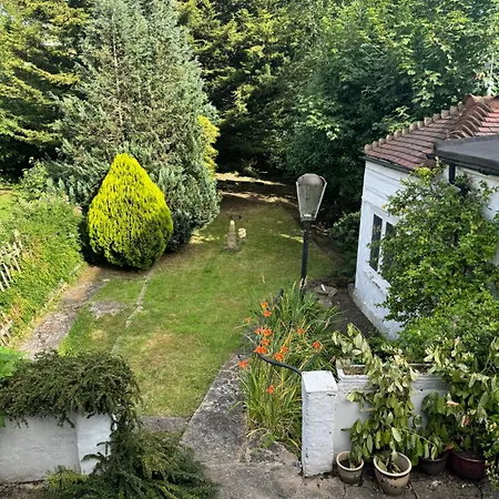 Comfort Place Apartment London