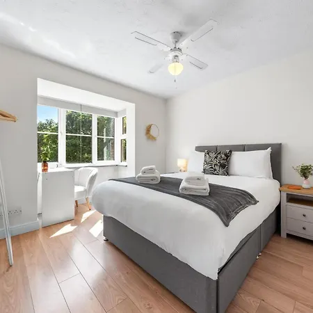 Beautiful 1 Bed Close To Amenities Apartment *