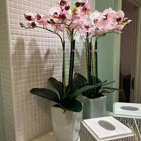 Stylish Flat Near Apartment