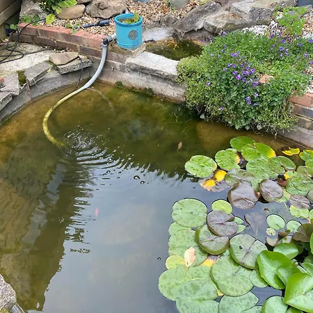 Pond