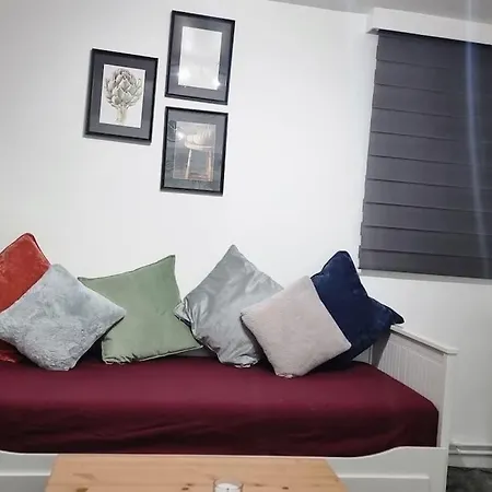1 Bed Flat With Free Parking In E13 Apartment