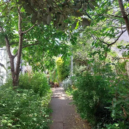 Wimbledon Village * Londres