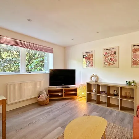 Battersea Park View Flat