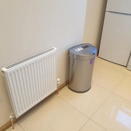London Luxury 3 Bedroom Flat, 2 Bathrooms, Living Room, Free Parking, 4 Mins To Station, Garden Apartment Ilford