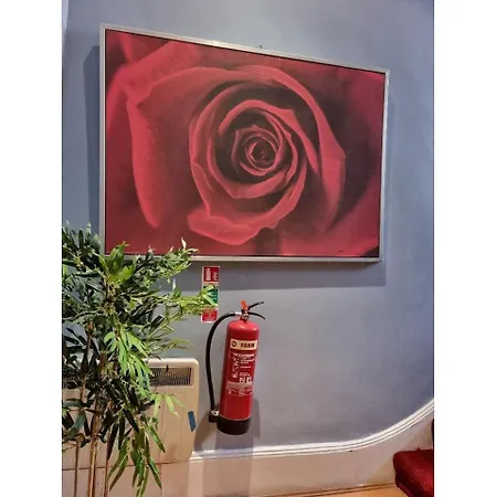 F203-fantastic Second Flr Near Hyde Park Apartment London