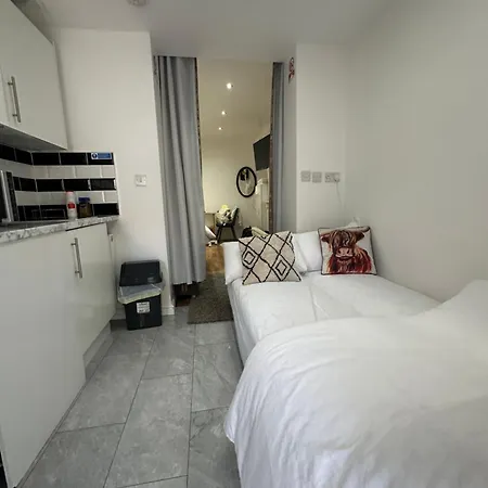 4th Flat With Private Own Bathroom A Luxury Family Setup And Furnished With Double Bed A Double Futon-sofa Bed A Single Futon Bed A Baby Cot And Garden And Free Parking Apartment London