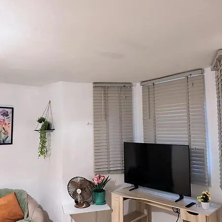 Cozy - Location Appartement *