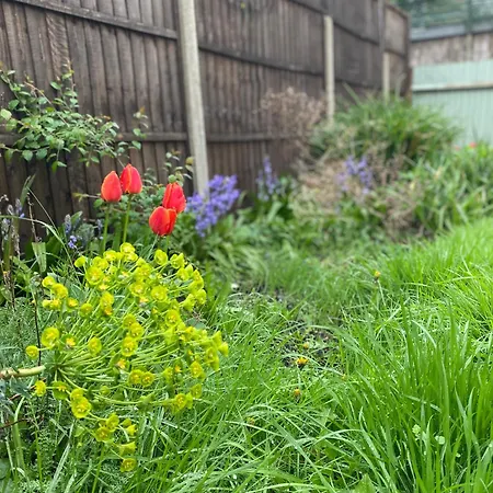 Charming Garden Flat With A Free Parking * Ealing