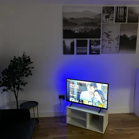 Stylish - Stratford Near Abba Voyage, O2 Greenwich, Stadium And Westfield Shopping Centre Apartment