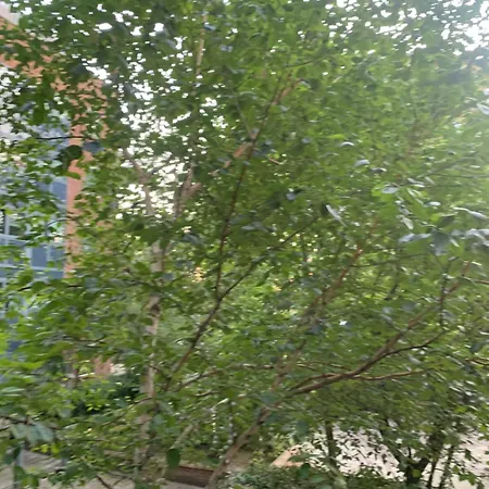 Donnington Court London