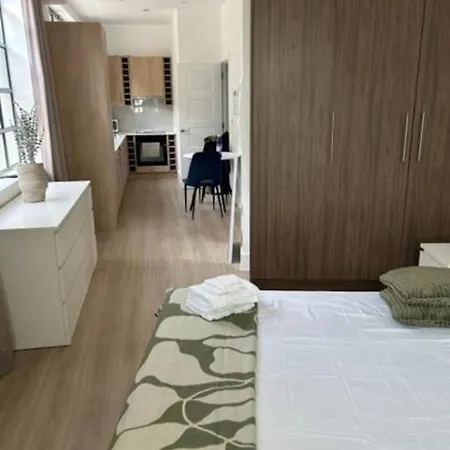 Apartment Stylish Spacious Studio, London- Zone 1 *