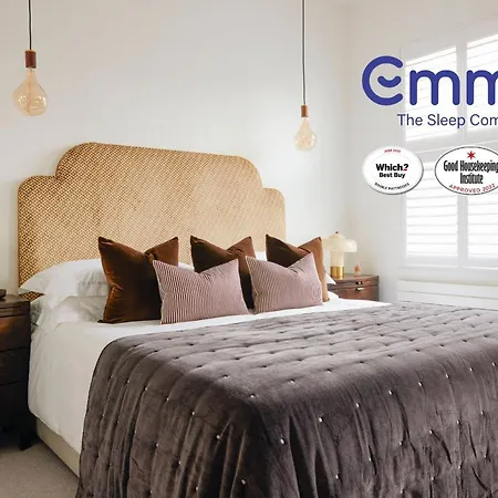 Luxury Fulham Townhouse With Cinema Apartment