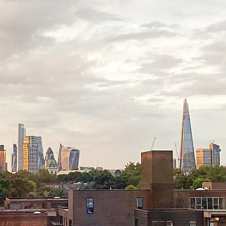 Large With Skyline View Homestay London