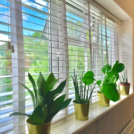 Stunning Business Travellers En-suite Bathroom Garden View