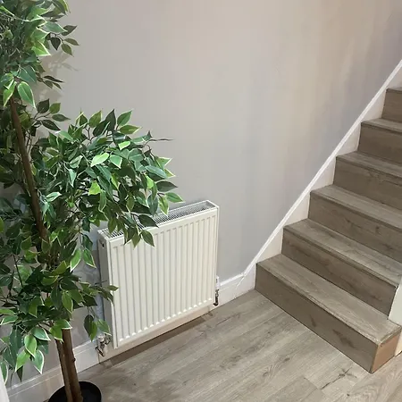 Cozy House With 3 Bedrooms * London