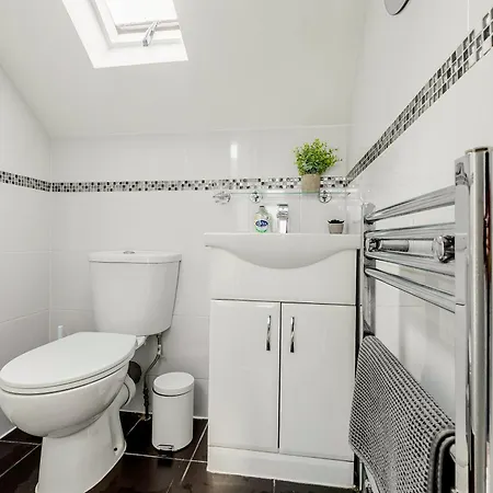 Bright 2br Flat, Forest Gate, East Apartment London