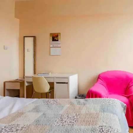 Homestay For Solo Travellers In Euston